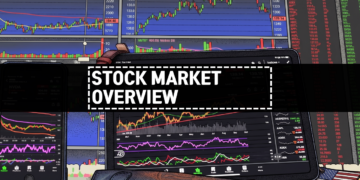 Stock Market Overview